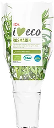 Rosmarin Ekologisk 1-p KRAV Klass 1