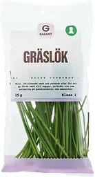 Gräslök