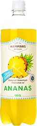 Läsk Ananas Utan Socker