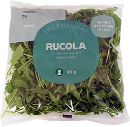 Rucola