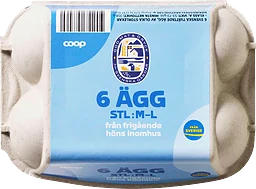 Ägg 6-pack M/L Frigående inomhus