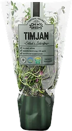 Timjan