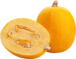 Pumpa