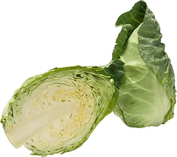 Spetskål