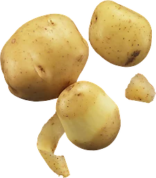 Potatis Fast