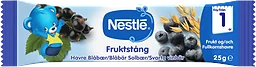 Fruktstång Blåbär
