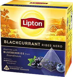 Te Svart Blackcurrant Pyramid