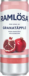 Kolsyrat vatten Granatäpple