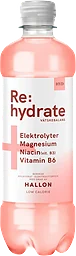 Vätskeersättning Rehydrate Hallon