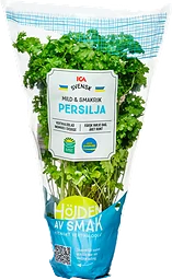 Persilja vertikalodlad 1-p Klass 1
