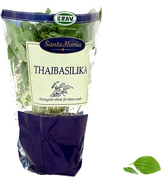 Thaibasilika