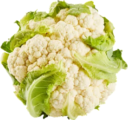 Blomkål