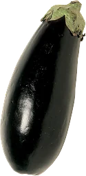 Aubergine