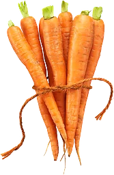 Morötter Eko