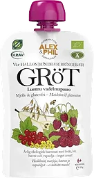 Gröt Hallon Röda Vinbär