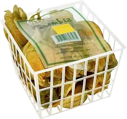 Physalis