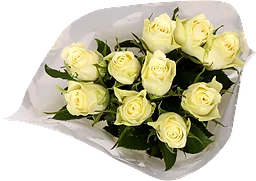 Rosor 10-p 40cm Fairtrade vita