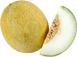 Melon Galia