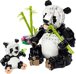 Vilda Djur Panda