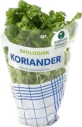Koriander