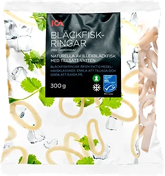 Bläckfiskringar