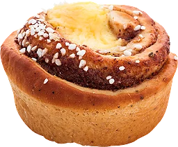 Solsnäcka