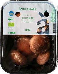 Shiitake Eko