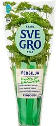 Persilja Eko Kruka