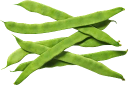 Skärbönor