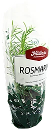 Rosmarin Eko Kruka