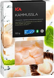 Kammusslor