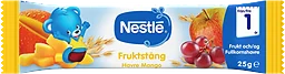Havre Mango Fruktstång