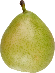 Päron