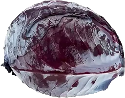 Rödkål