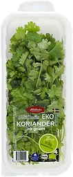 Koriander EKO Handelsträdgård