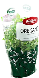 Oregano Kruka Eko