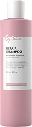 Schampo Repair