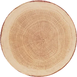 Tallriksunderlägg Tree Kork 38cm