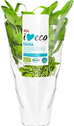 Salvia Ekologisk 1-p KRAV Klass 1 ICA I