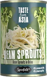 Bean Sprouts In Brine