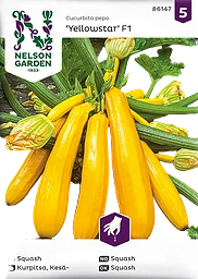 Squash, Yellowstar F1