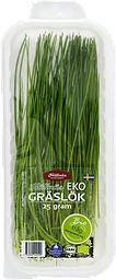 Gräslök EKO Handelsträdgård