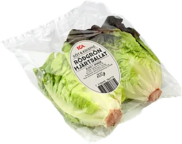 Hjärtsallad röd/grön Klass 1