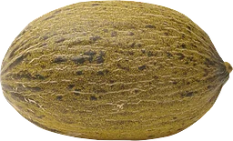 Piel de Sapomelon ca Klass 1