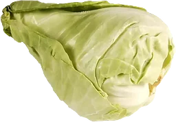 Spetskål