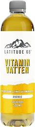 Vitamindryck Haparanda Ananas