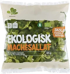 Mache Sallad Eko