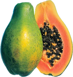 Papaya Stor