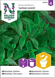 Basilika, Citron-, Lemon Scent