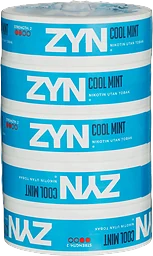 Nikotinpåse utan tobak Cool Mint Medium 5-p
